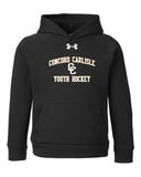 CCYH UA Hoody (Grey, Maroon, Black)