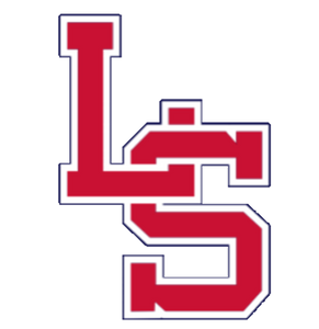 LS Hockey Helmet Stickers