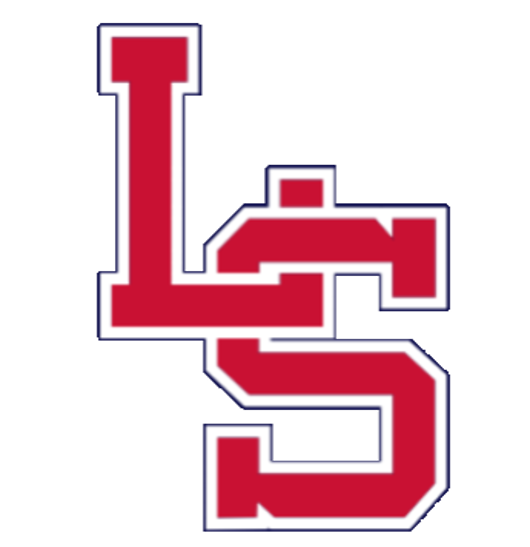 LS Hockey Helmet Stickers