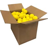120 Lacrosse Ball Case (White, Yellow, Orange)