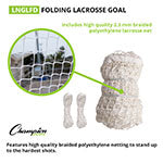 Folding Lacrosse Goal